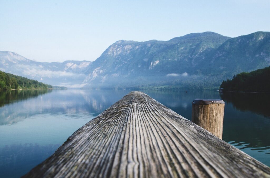 blog 8
